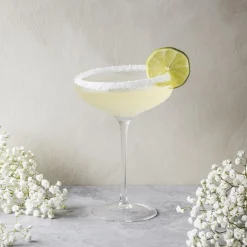 Eva Solo Champagne Coupe