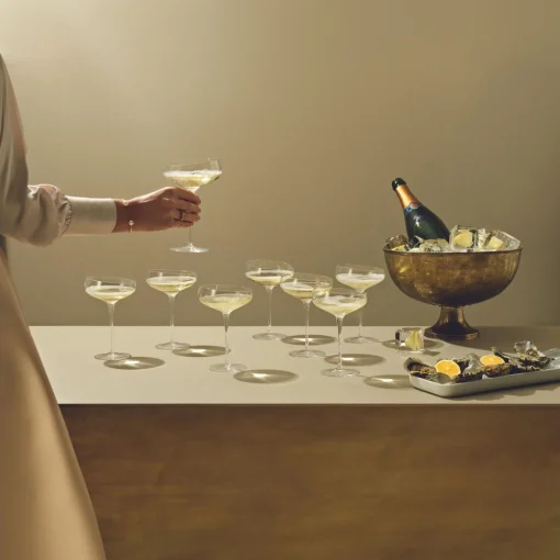 Eva Solo Champagne Coupe