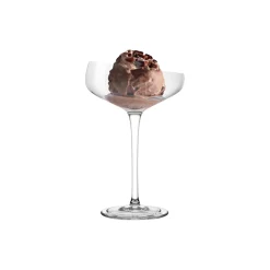 Eva Solo Champagne Coupe