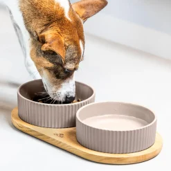 DOG Copenhagen Kronborg Food Bar,