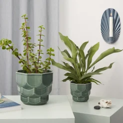 Dottir Nordic Design Samsurium blomsterkrukke, spruce