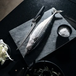 Fiskars Taiten filetkniv