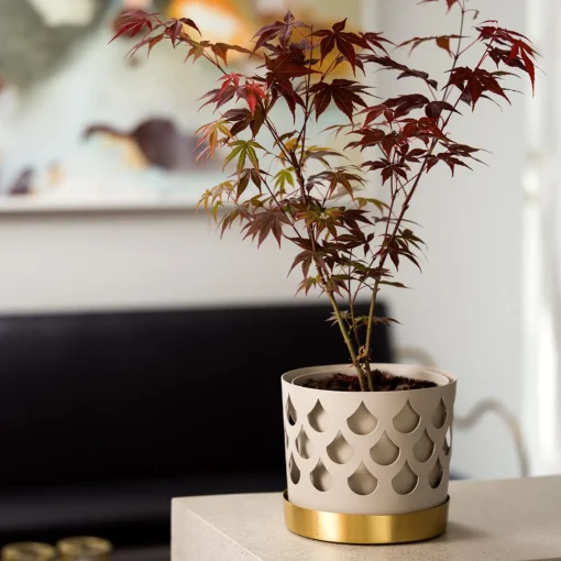 Klong Trio Drop Flowerpot Medium
